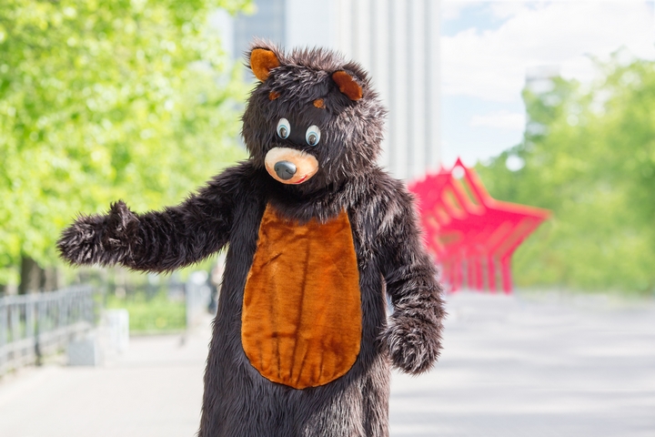 5 Design Ideas to Help You Create a Mascot Costume