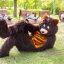 5 Pet Peeves to Avoid With Mascot Costumes