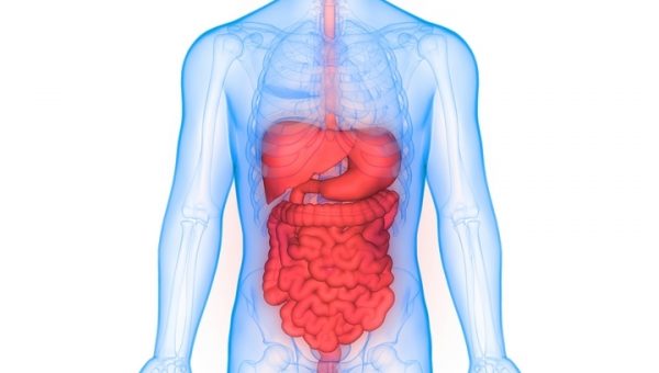 9 Guidelines to Maintain a Healthy Digestive System