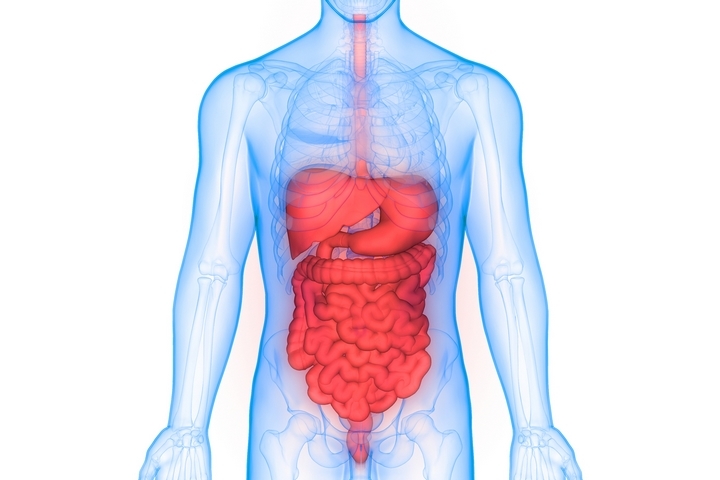 9 Guidelines to Maintain a Healthy Digestive System