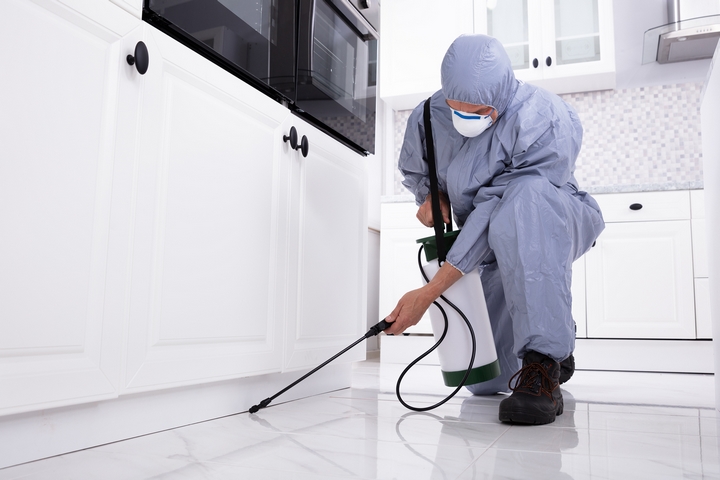 6 Benefits of Using a Pest Control Service