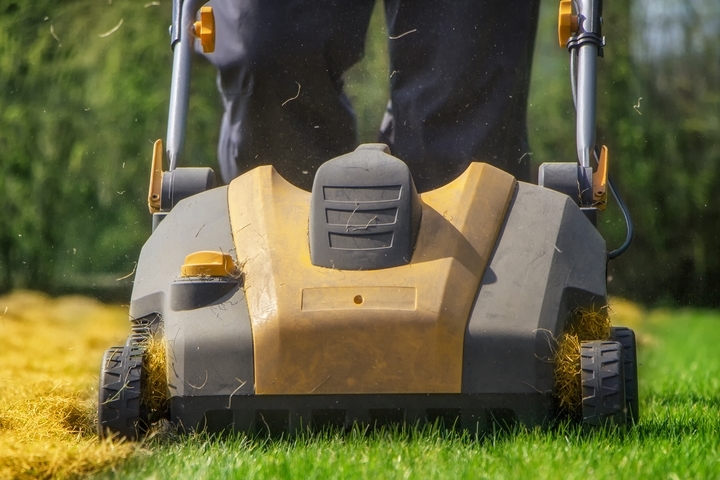 7 Spring Lawn Mowing Tips and Tricks