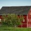 8 Good Barn Ideas for Small Farms