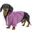 How to Plan Outfits for Your Dog